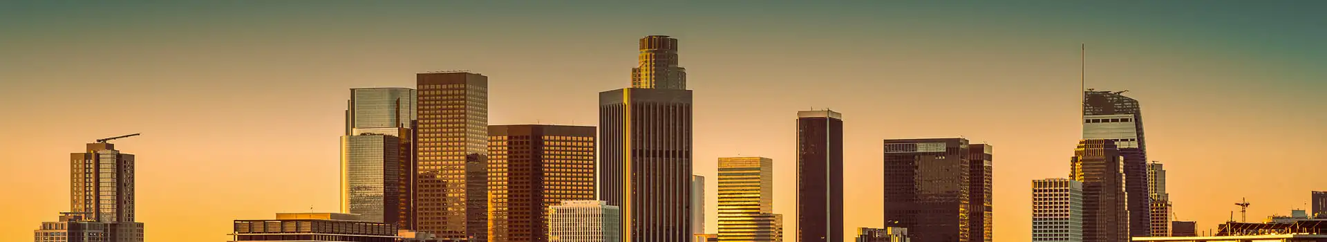 banner_img
