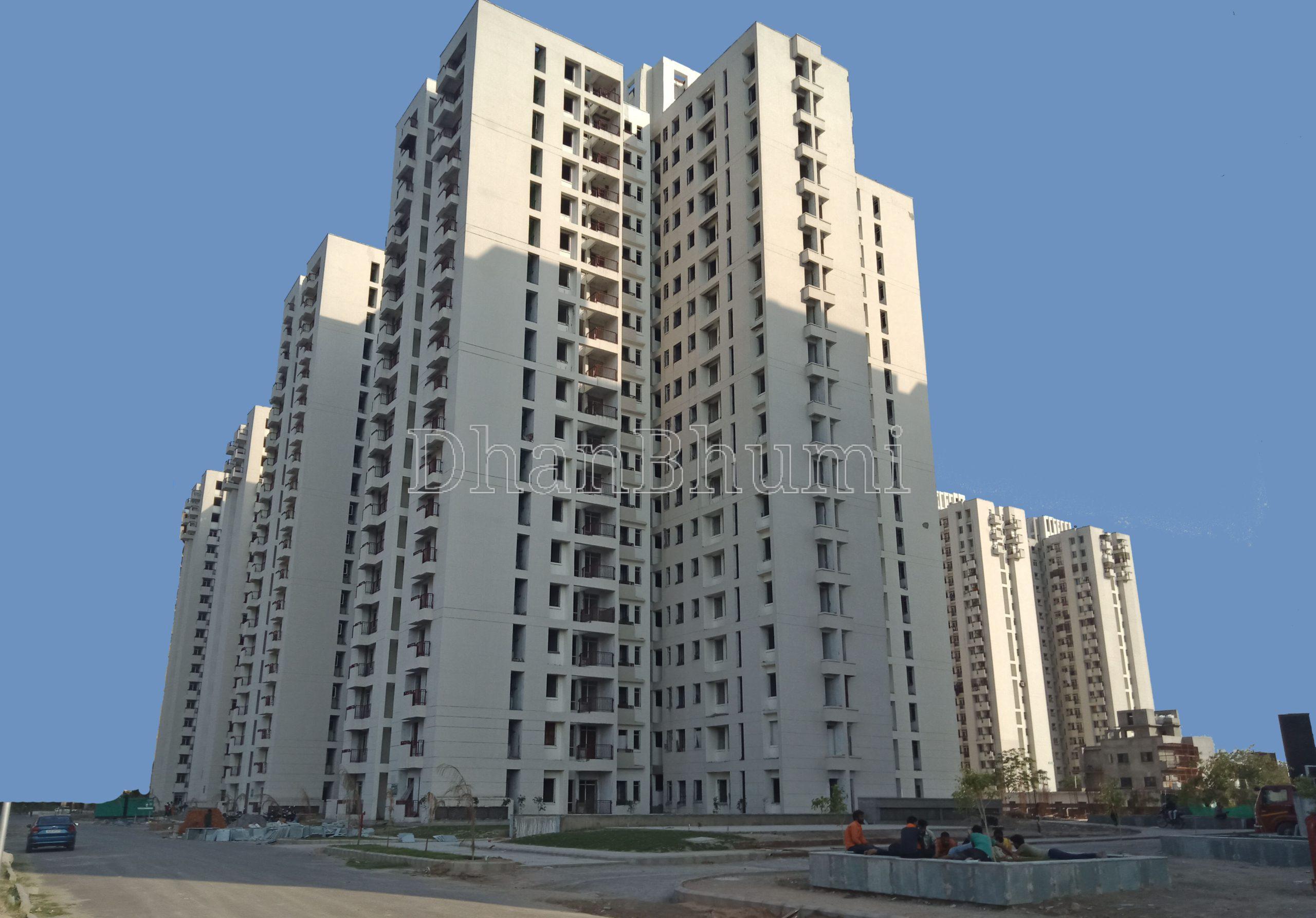 Trehan Floors