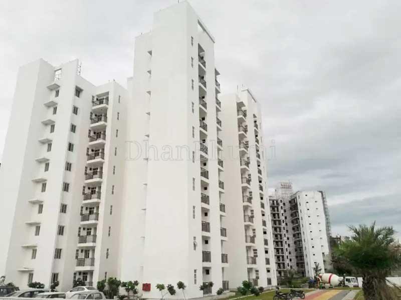 Trehan Floors