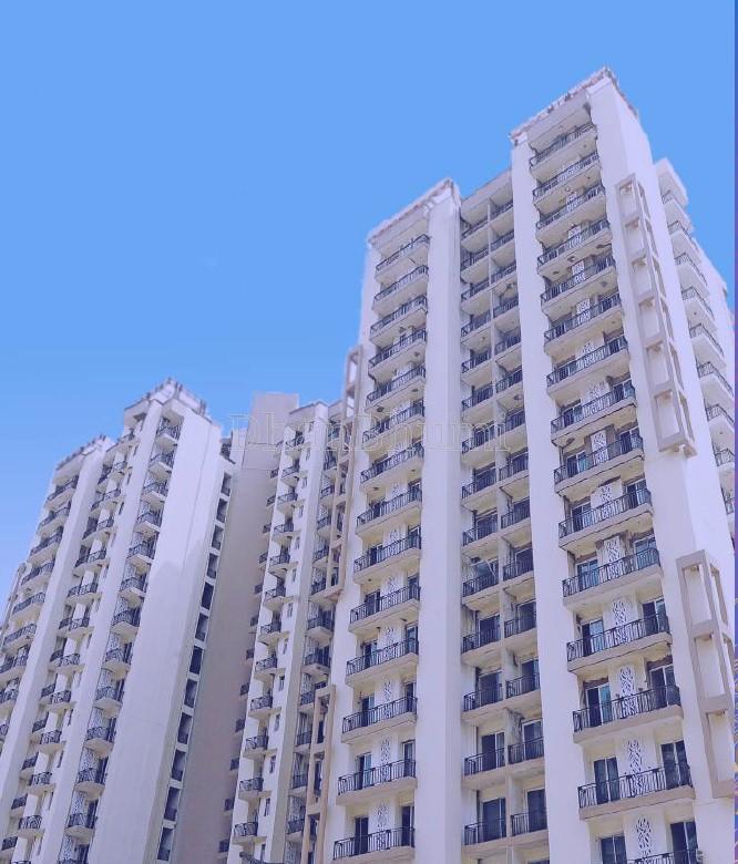 Sikka Karnam Greens
