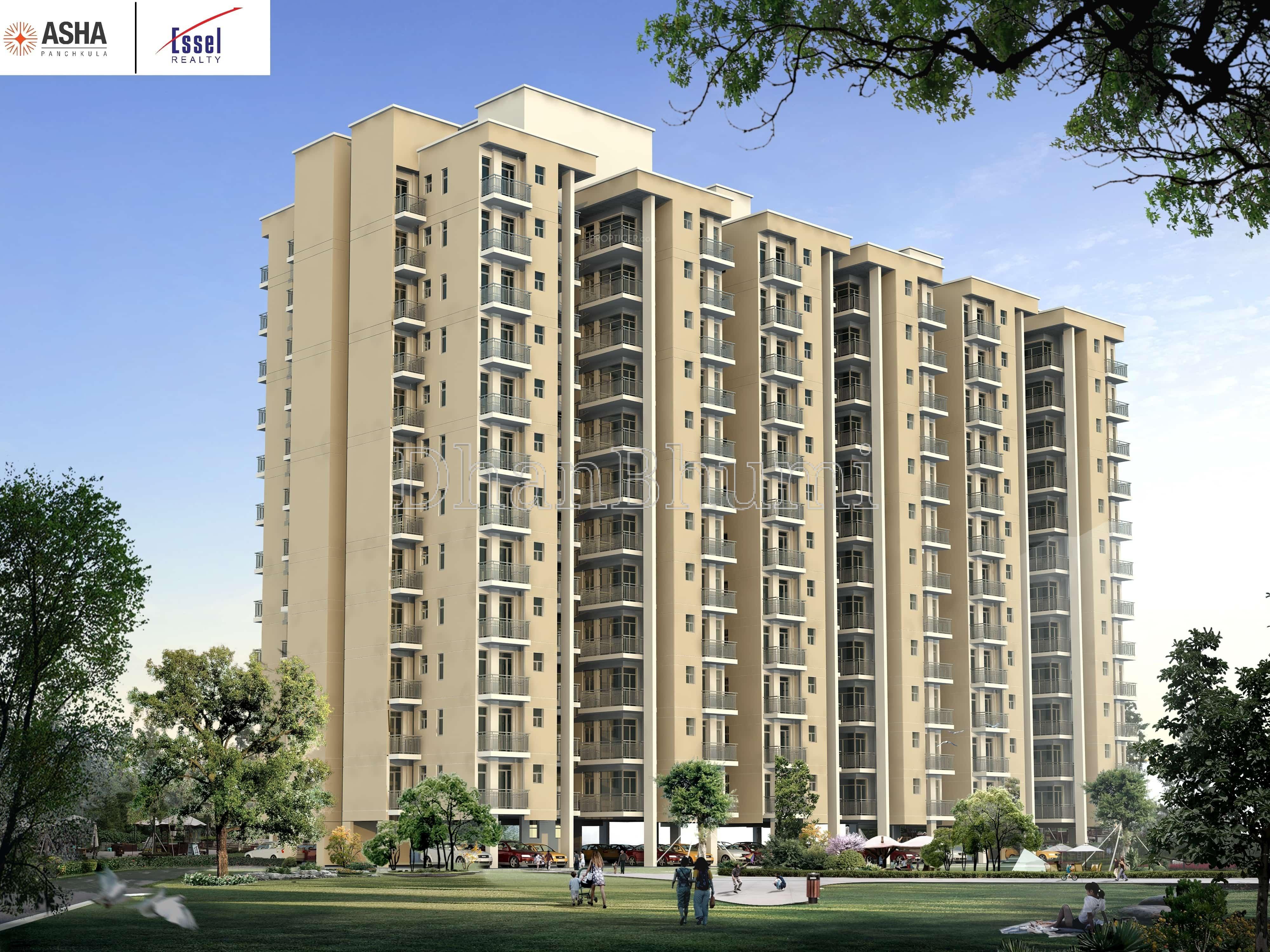 Asha Panchkula