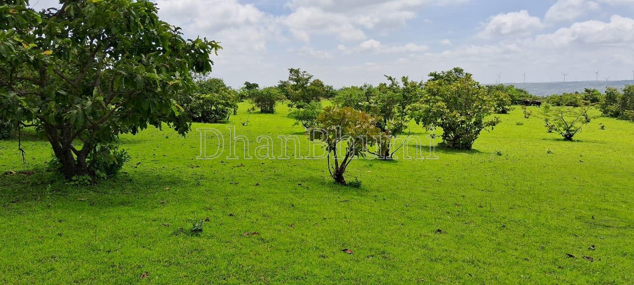 property_images/1764412398_692acbee71a9b.jpeg