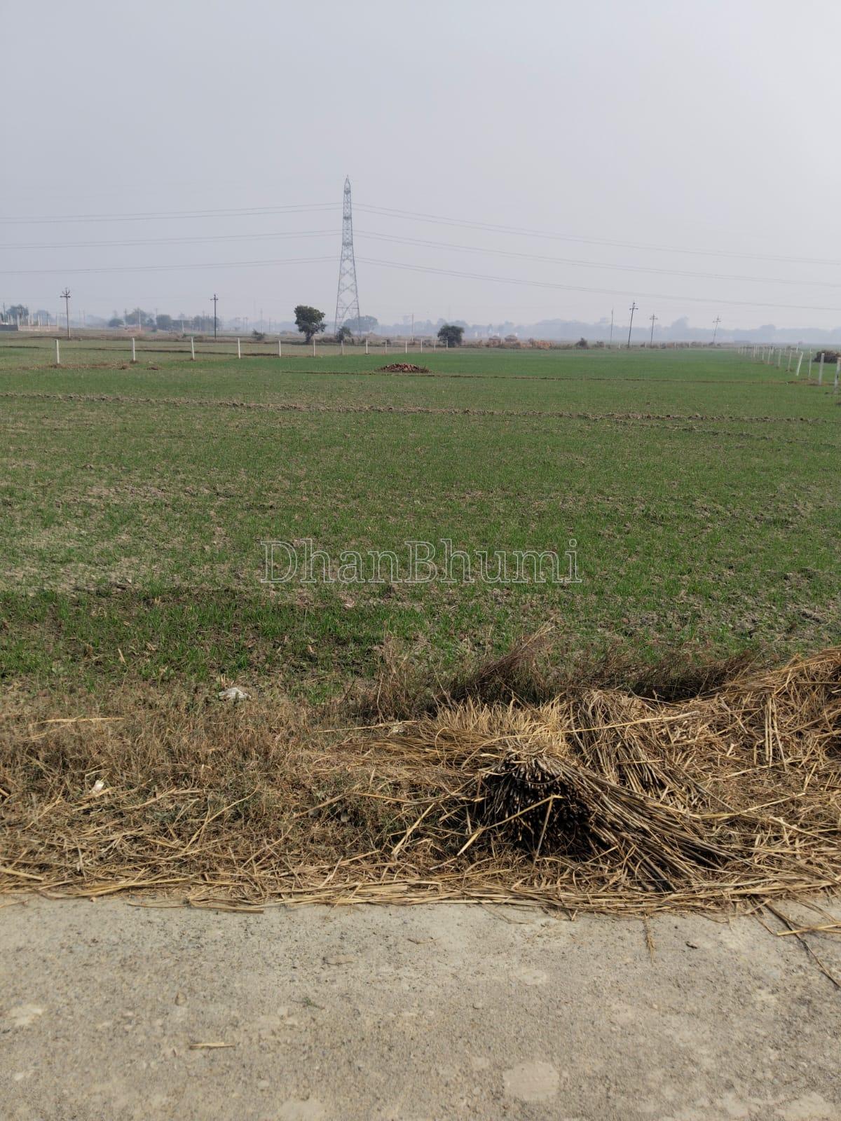 featured_img