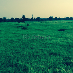 property_images/1766054701_6943db2d1be8f.png
