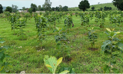 property_images/1766230867_69468b535de24.PNG