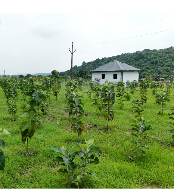 property_images/1766230991_69468bcfec14a.PNG
