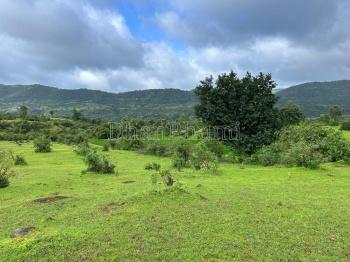 property_images/1766399019_69491c2b38035.jpeg