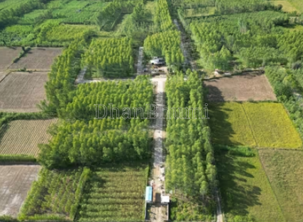 property_images/1766822310_694f91a632975.png