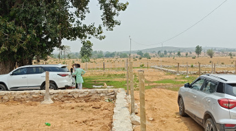 featured_img