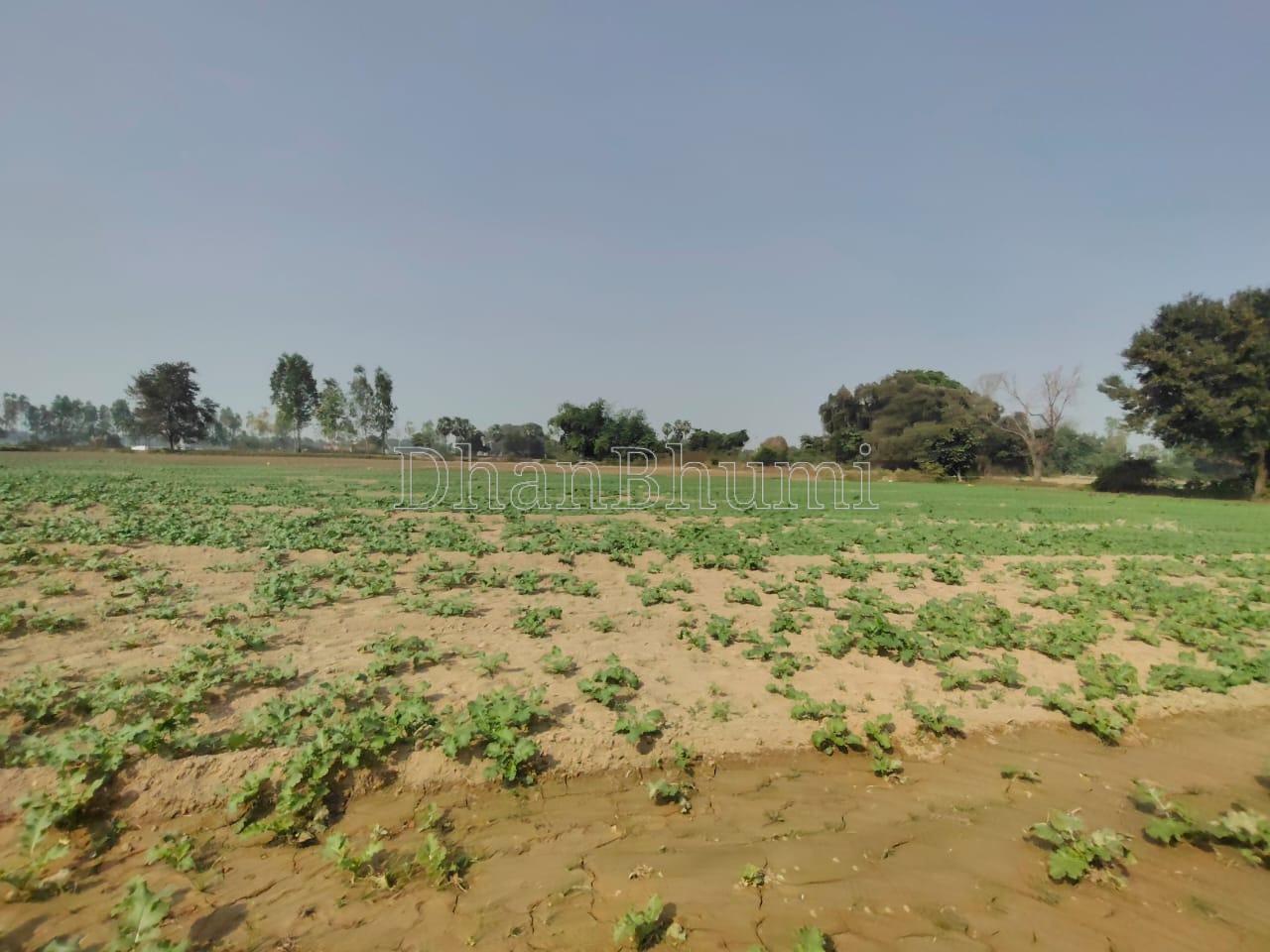property_images/1766916030_6950ffbe097b1.jpeg