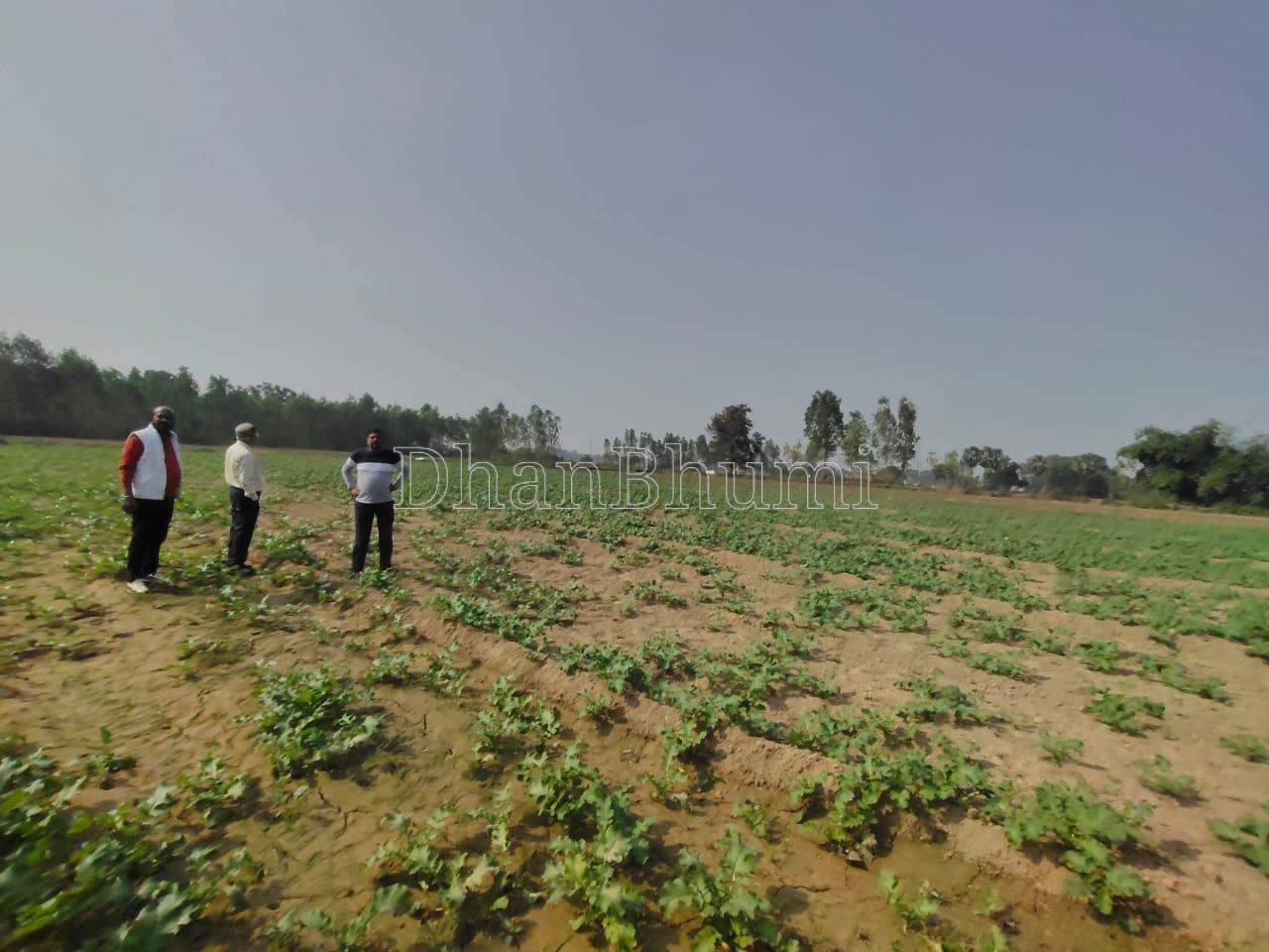 property_images/1766916030_6950ffbe3e150.jpeg