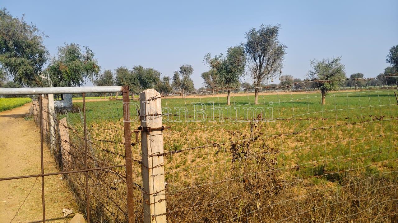 property_images/1767086547_695399d37e0fd.jpeg