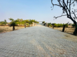 featured_img
