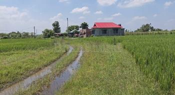 property_images/1768197517_69648d8dd5650.jpg