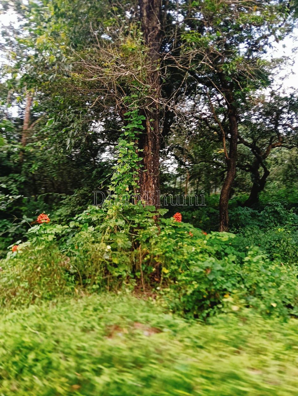 property_images/1768634752_696b398095c10.jpeg