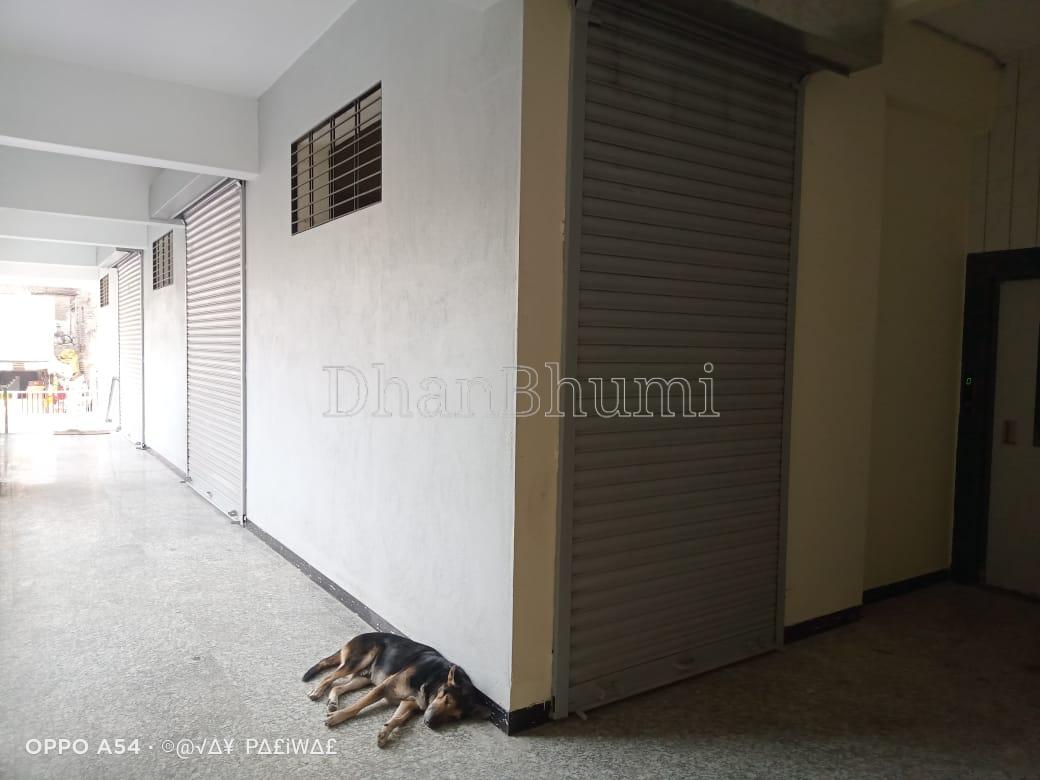 property_images/1768995800_6970bbd8bde2c.jpeg