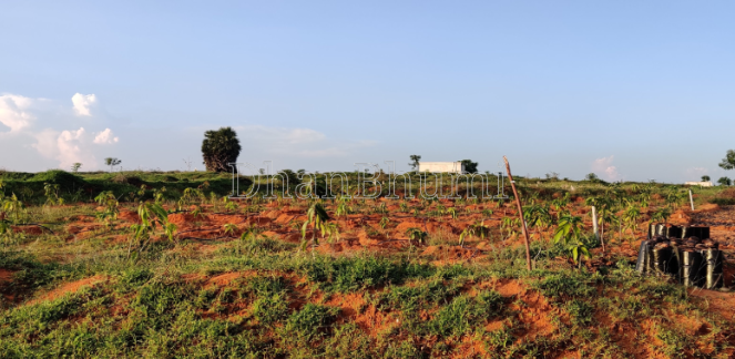 property_images/1769148453_6973102523c7b.PNG
