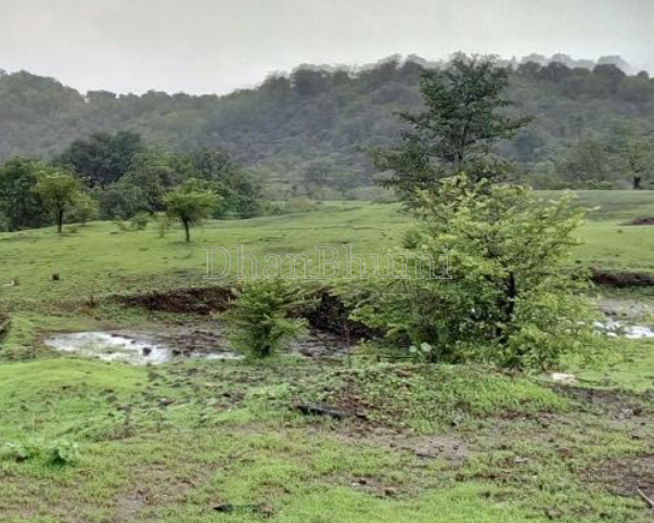 property_images/1769338326_6975f5d661a21.PNG