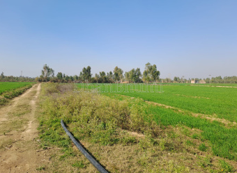 property_images/1769841124_697da1e4280ff.PNG