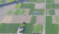 property_images/1769934896_697f103008955.PNG