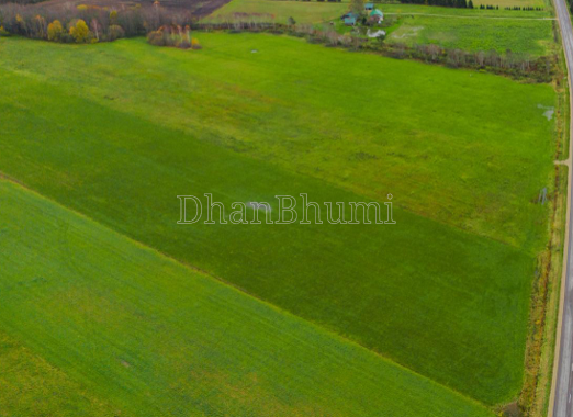 property_images/1769935696_697f13506883f.PNG