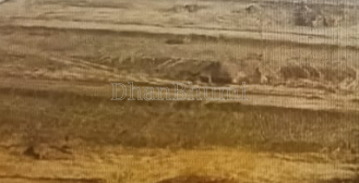 property_images/1770013160_698041e8af33a.PNG