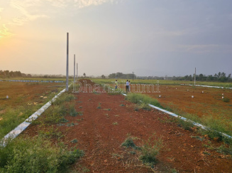 property_images/1770196503_69830e172b8fb.PNG