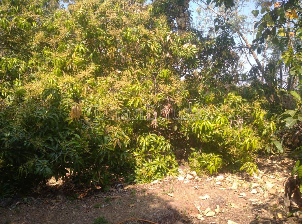 property_images/1770640939_6989d62bcb92e.jpeg