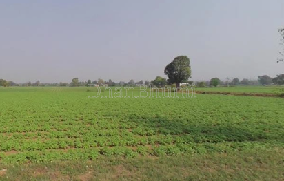 property_images/1770720495_698b0cef1aa98.png