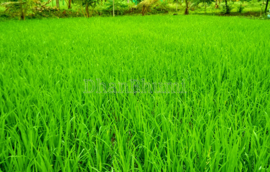 property_images/1773997363_69bd0d336dea7.png