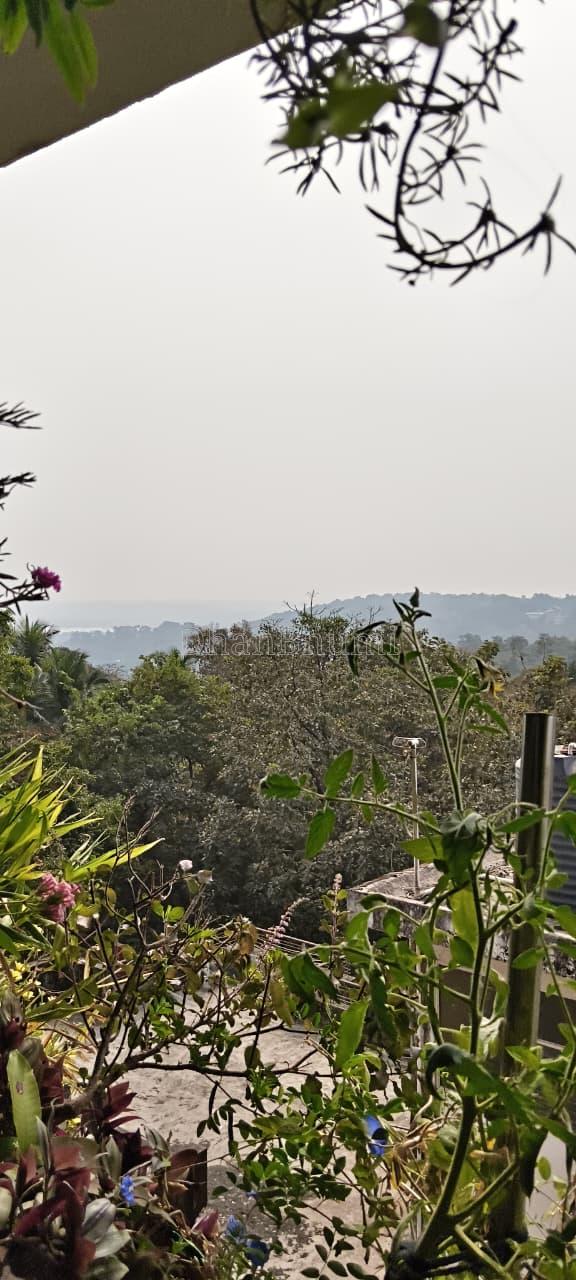 property_images/1774338194_69c24092bd3c9.jpeg