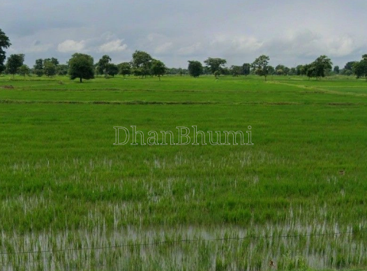featured_img