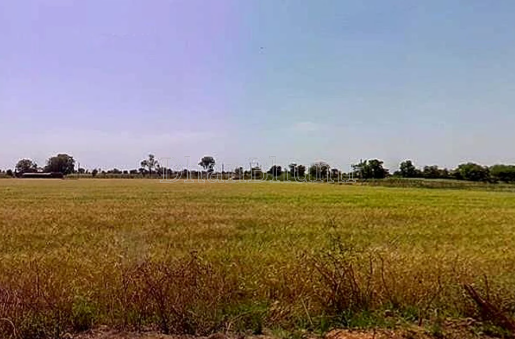 featured_img