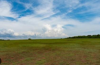 featured_img