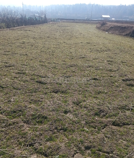 property_images/1775648572_69d63f3c4d217.PNG