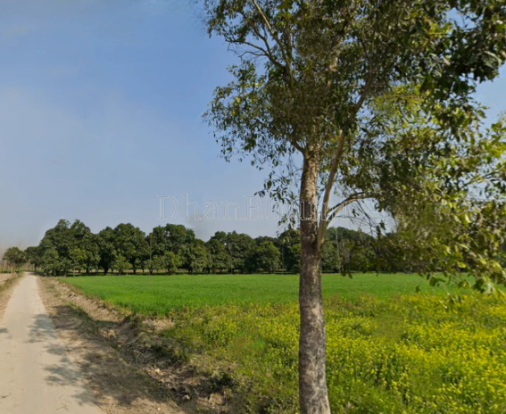 property_images/1775822203_69d8e57bce9e1.png