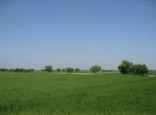 featured_img