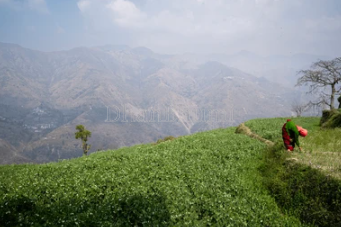 featured_img