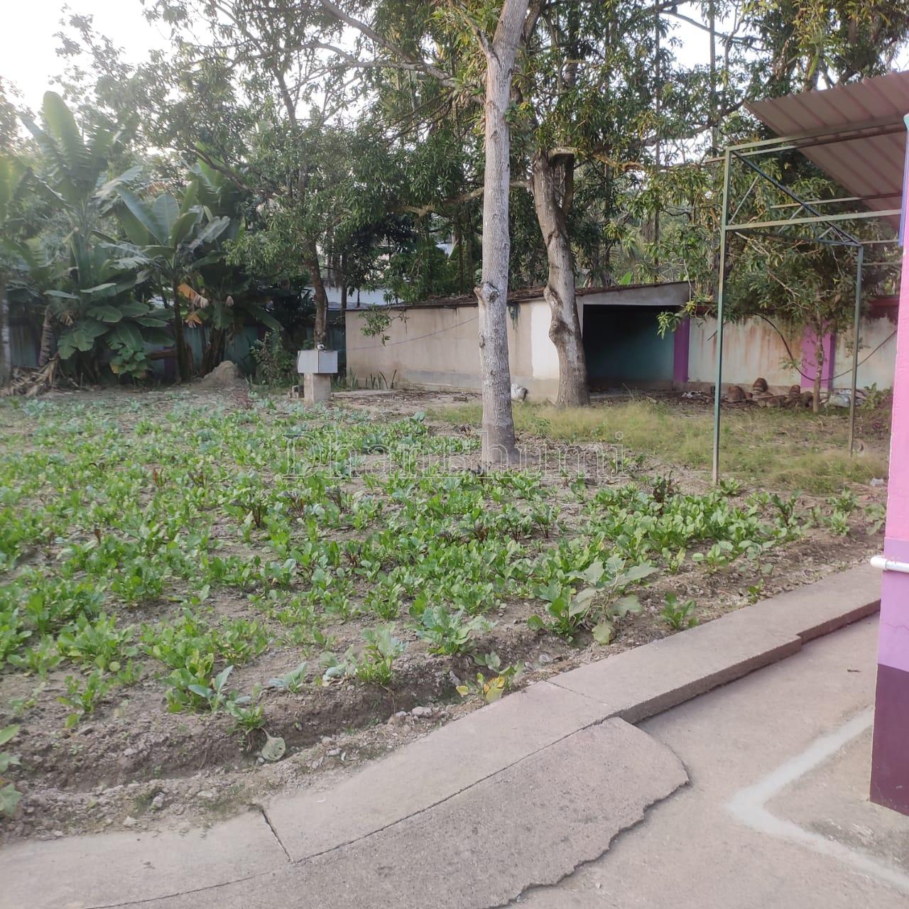 property_images/2_bhk_independent_housevilla_in_basirhat_1781522739_6a2fe13368c97.jpeg