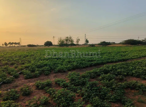 property_images/agricultural_in_agar_malwa_1791967424_6acf40c0db400.png