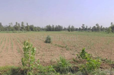 property_images/agricultural_in_agra_1780989701_6a27bf051296a.jpg