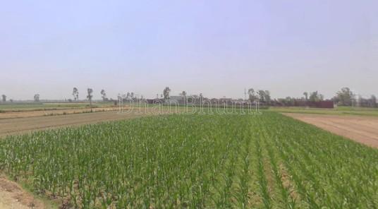 property_images/agricultural_in_agra_1780990221_6a27c10d3b8d5.jpg