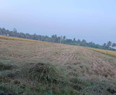 property_images/agricultural_in_agra_1787042551_6a841af717ec8.png