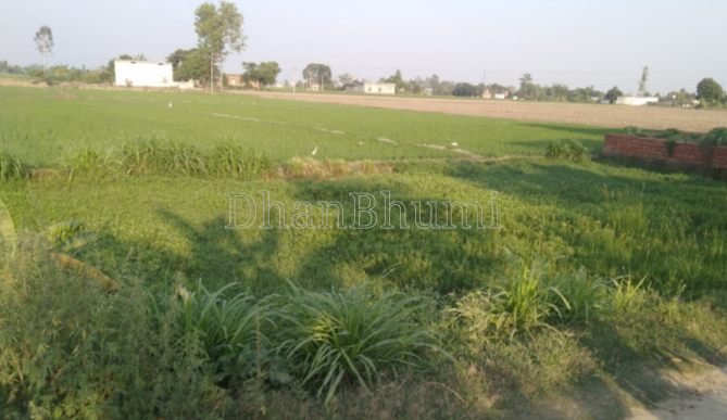 property_images/agricultural_in_agra_1787043182_6a841d6e3a2c8.png