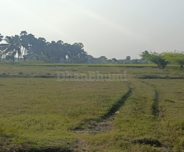 property_images/agricultural_in_agra_1787045425_6a842631bb9a0.png