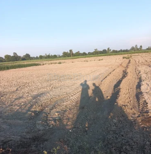 property_images/agricultural_in_agra_1787651317_6a8d64f57aacd.png