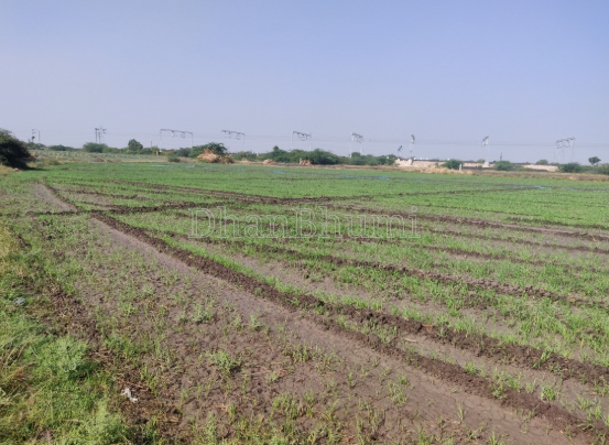 property_images/agricultural_in_ahmedabad_1781175437_6a2a948d494eb.PNG