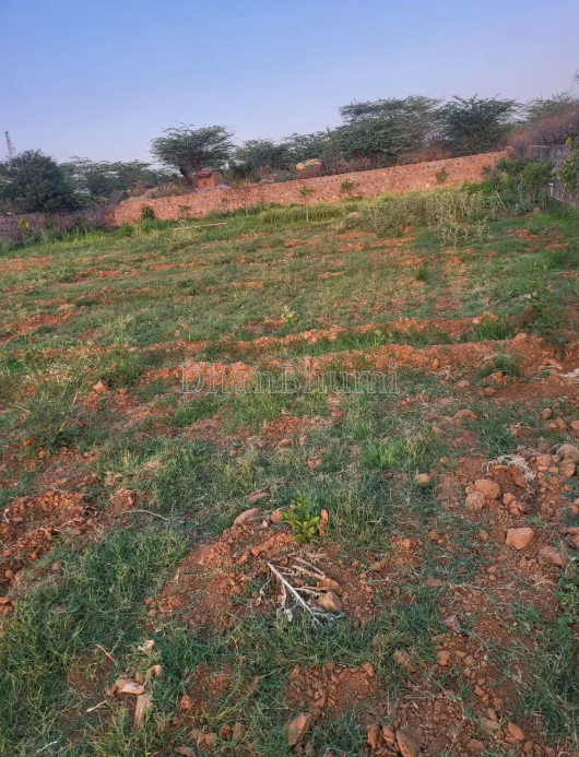 property_images/agricultural_in_ahmedabad_1782300110_6a3bbdce94a00.png