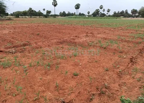 property_images/agricultural_in_ahmedabad_1784711902_6a608adeace1f.png