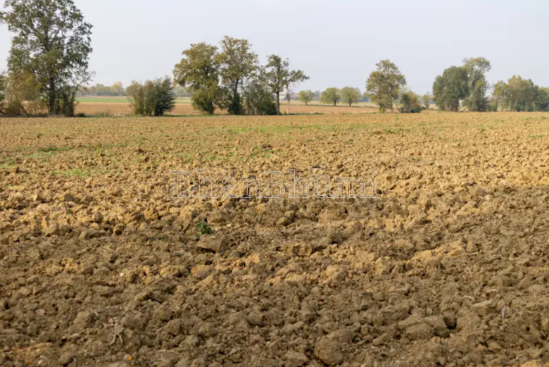 property_images/agricultural_in_ahmedabad_1785841610_6a71c7caccfbb.png